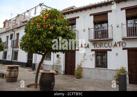 Placeta de Carniceros, El Albaicín, Grenade, Andalousie, Espagne: Une jolie petite place avec des orangers dans l'ancien quartier mauresque Banque D'Images