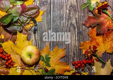 Composition automnale de pommes, feuilles, citrouilles sur fond de bois brun foncé. Mise en page pour la conception. Banque D'Images