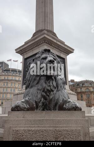 Sculpture unique en bronze à tête de lion vue à la base de la colonne de Nelson contre le ciel gris de Trafalgar Square Londres. Banque D'Images