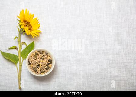 Magnifiquement décoré encore vie, disposition sur un fond blanc, tournesol avec feuilles vertes et tige, graines dans une assiette blanche, concept de nourriture naturelle. Photo de haute qualité Banque D'Images