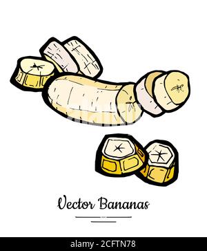 Bananes ensemble vecteur isolé. Bouquet de tranches de bananes entières, pelées, hachées et coupées, collection de fruits doux jaunes tirés à la main végétarien Illustration de Vecteur