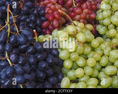 Doux mélange de raisins bleus, rouges et verts Banque D'Images