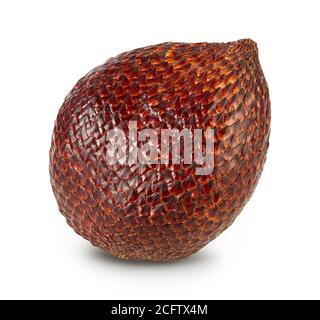 Fruit de serpent Salak isolé sur fond blanc avec chemin d'écrêtage et profondeur de champ complète Banque D'Images