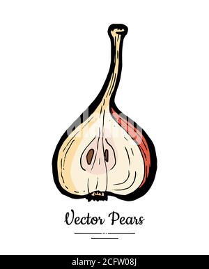 Vecteur de fruit de poire isolat. Poire demi-tranche de poire hachée. Illustration de fruits dessinés à la main. Logo végétarien tendance Illustration de Vecteur