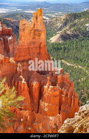 Vue de Tall hoodoo, parc national de Bryce Canyon, Utah, États-Unis Banque D'Images