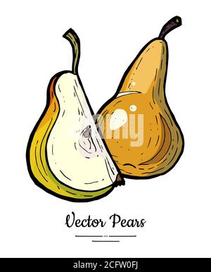 Poires fruits vecteur isoler. Poire verte entière hachée quart de tranche dessin main illustration icône végétarienne logo croquis Illustration de Vecteur