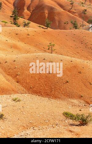 Vue sur la vallée de la piste Navajo Loop, parc national de Bryce Canyon, Utah, États-Unis Banque D'Images