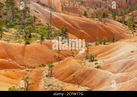 Vue sur la vallée de la piste Navajo Loop, parc national de Bryce Canyon, Utah, États-Unis Banque D'Images