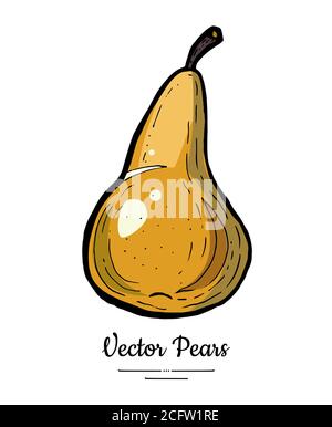Vecteur de fruit de poire isolat. Poire entière marron jaune. Illustration de fruits tirée à la main nourriture végétarien doux icône logo croquis Illustration de Vecteur