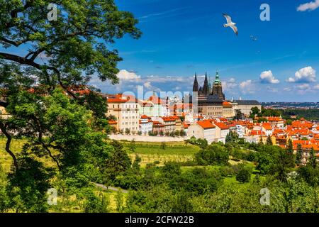 Le Château de Prague et le panorama de la vieille ville. Vue depuis la colline de Petrin. Prague, République tchèque. Printemps de Prague Prague panorama Hill avec le Château de Prague, Vlt Banque D'Images