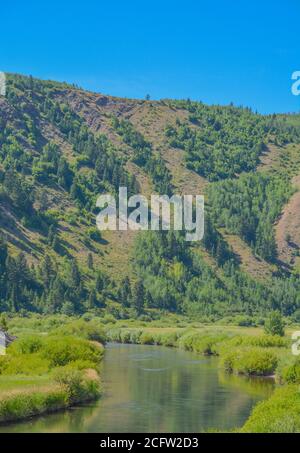 Le paisible écoulement de la rivière Snake dans les Rocheuses Montagnes du Wyoming Banque D'Images