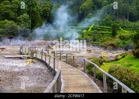 Sources thermales du lac de Furnas. Sao Miguel, Açores. Lagoa das Furnas HotSprings. São Miguel, Açores, Portugal. Ventilation à la vapeur à Lagoa das Furnas hotspr Banque D'Images