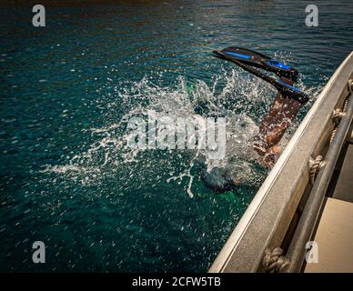 Plongée sous-marine pendant la croisière de tir et de dragons du Nord vrai, îles Sunda, Indonésie Banque D'Images