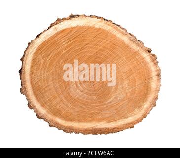 Morceau de bois abattu d'un tronc d'arbre avec des anneaux de croissance isolés sur blanc. Anneaux d'arbre avec texture et détail. Banque D'Images