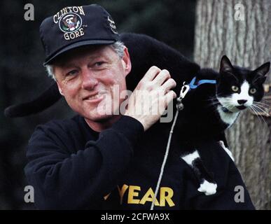 Photographie du Président William Jefferson Clinton avec chaussettes le chat perché sur l'épaule de Clinton Banque D'Images