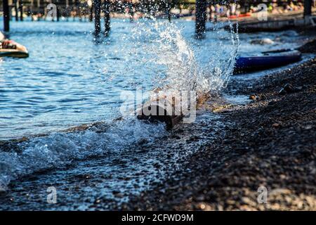 De l'eau éclabousse sur une bûche alors que le courant se brise sur des caillebotis Rive du lac Tahoe à Tahoe City Beach Park Association Jetée Banque D'Images