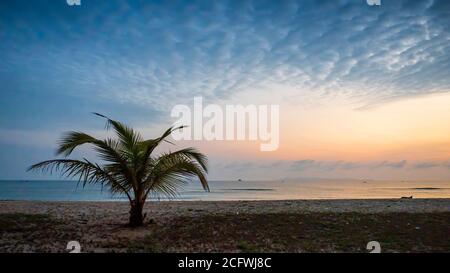 Océan à l'aube avec des silhouettes de palmier avec un fond de la lueur dorée du lever du soleil Banque D'Images