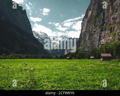 Un pré de fleurs sauvages en premier plan avec une cabine, des murs de falaise et les Alpes suisses enneigées en arrière-plan à Lauterbrunnen, Suisse Banque D'Images