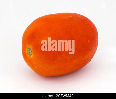 Gros plan d'une tomate avec quelques gouttelettes sur un fond blanc uni Banque D'Images