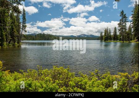 Le lac Summit de l'Oregon, l'un des nombreux grands lacs au sommet de la chaîne des Cascades. Cowhorn Mountain se trouve à gauche; Sawtooth Mtn se trouve à droite du centre Banque D'Images