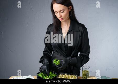 Image d'une femme attrayante avec des pousses dans des conteneurs Banque D'Images