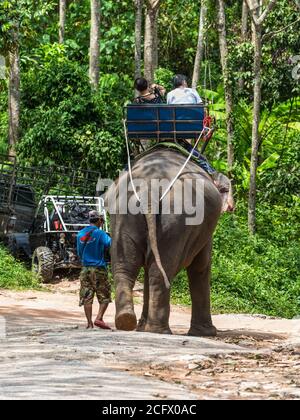 Phuket, Thaïlande - 29 novembre 2019 : trekking à dos d'éléphant dans la jungle à Phuket, Thaïlande. Banque D'Images