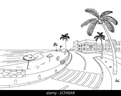 Street Road Palm Tree graphique noir blanc paysage dessin illustration vecteur Illustration de Vecteur