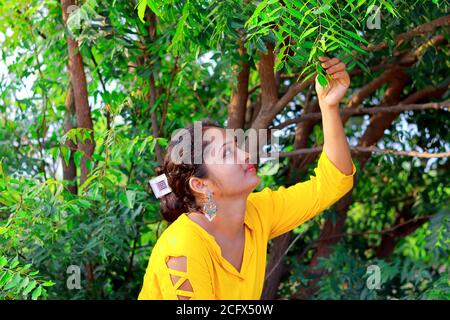 Une fille indienne modèle à la mode assise sous un neem Tree et toucher des feuilles fraîches avec ses mains Banque D'Images