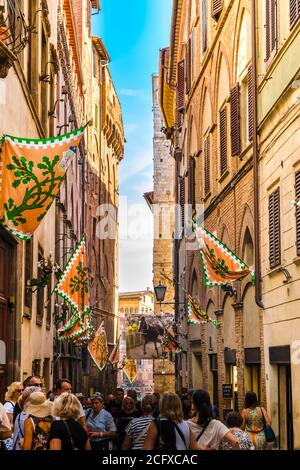 Beaucoup de touristes sont en marche à travers la rue populaire via dei Pellegrini, décoré avec des drapeaux de Selva, le quartier forestier de Sienne, qui a gagné... Banque D'Images