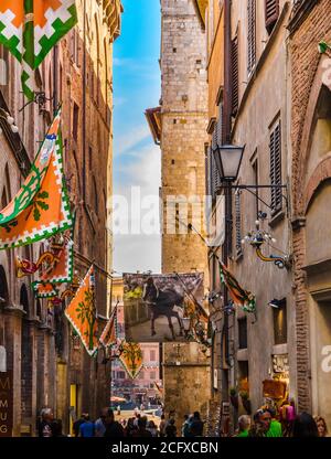 Superbe vue sur la célèbre via dei Pellegrini en direction de la place Piazza del Campo à Sienne. La rue est décorée de drapeaux de Selva, la forêt... Banque D'Images