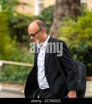 Londres, Royaume-Uni. 08 septembre 2020. Dominic Cummings arrive à une réunion du cabinet à FCO London. Crédit : Ian Davidson/Alay Live News Banque D'Images