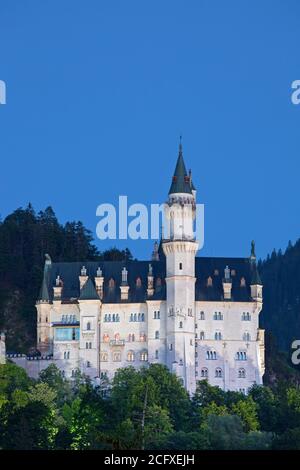 Géographie/Voyage, Allemagne, Bavière, Schwangau, château Neuschwanstein, Schwangau, près de Fuessen, Allgaeu, Additional-Rights-Clearance-Info-not-available Banque D'Images