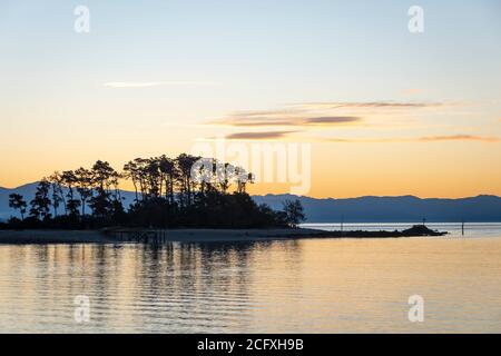 Arbres sur l'île de Haulashore dans la baie Tasman, Nelson, South Island, Nouvelle-Zélande Banque D'Images