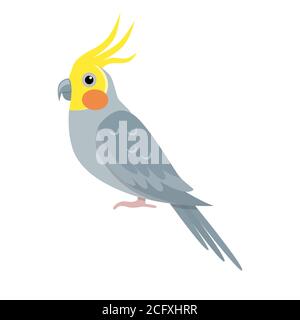 Icône Corella perroquet de style plat isolée sur fond blanc Illustration de Vecteur