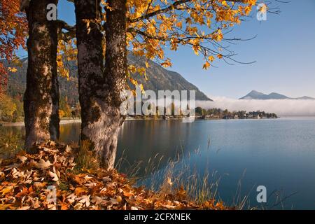 Géographie / Voyage, Allemagne, Bavière, Walchensee (lac Walchen), vue vers le chalet Walchensee (, droits-supplémentaires-dégagement-Info-non-disponible Banque D'Images