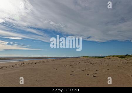 La large plage de sable déserte de Tentsmuir point, à l'extrémité sud de l'estuaire de Tay, en direction du sud vers St Andrews. Banque D'Images