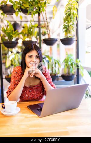 Jeune femme à la recherche à l'ordinateur portable Banque D'Images