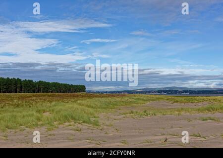 Les dunes couvertes de gazon derrière Tentsmuir point, menant à Tay Heath avec la forêt de Tentsmuir en arrière-plan sous un ciel bleu. Banque D'Images