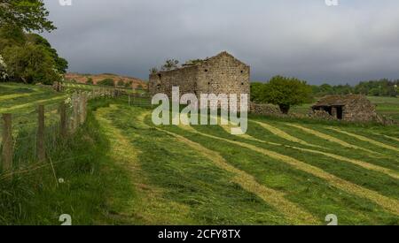 Une ancienne grange à Baildon, dans le Yorkshire. L'herbe dans les champs environnants a été coupée et laissée sécher en bandes. Banque D'Images