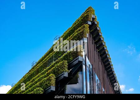 La plus grande façade verte d'Europe, sur le site de la rue commerçante et de la rue commerçante de Gustav-Gründgens-Platz, se trouve à 8 kilomètres de haies de charme Banque D'Images