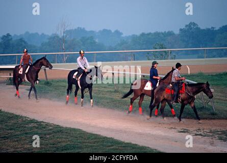 COURSES DE CHEVAUX EN DÉBUT DE MATINÉE, CHURCHILL DOWNS, LOUISVILLE, KENTUCKY, ÉTATS-UNIS, ANNÉES 1980 Banque D'Images