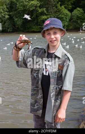 Garçon de onze ans avec un crabe, Stoke Gabriel, Devon, Angleterre, Royaume-Uni. Banque D'Images