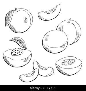 Pêche fruit graphique noir blanc isolé esquisse vecteur d'illustration Illustration de Vecteur