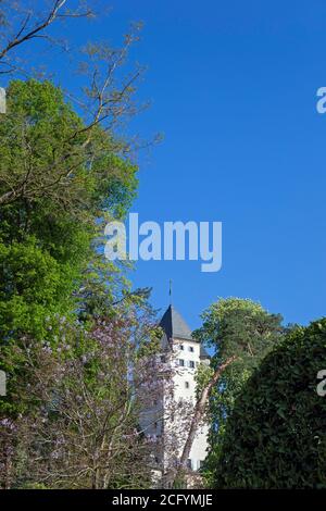 L'Europe, le Luxembourg, Colmar-Berg, le château de Berg (résidence principale du Grand-Duc de Luxembourg) entouré de magnifiques jardins Banque D'Images