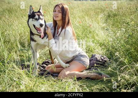 Belle jeune femme jouant avec un chien Husky drôle à l'extérieur du parc. L'été et le coucher du soleil. Amour inconditionnel. Animal de compagnie Husky préféré de Sibérie. Déshumidificateur animal Banque D'Images