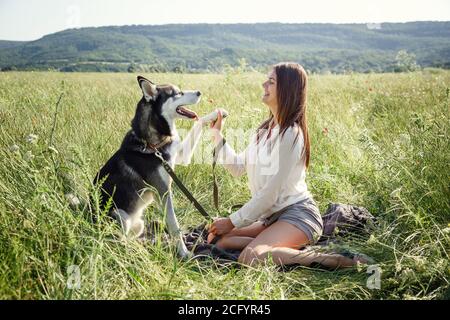 Belle jeune femme jouant avec un chien Husky drôle à l'extérieur du parc. L'été et le coucher du soleil. Amour inconditionnel. Animal de compagnie Husky préféré de Sibérie. Déshumidificateur animal Banque D'Images