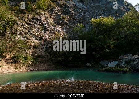 yew-boxwood grove à Sotchi, Khosta, Russie. Arbre de Yew et bosquet de buis avec chemin de forêt parmi les rochers et la mousse en été. Banque D'Images