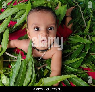 bébé jouant avec des feuilles et montrant son adorable expression faciale gros plan Banque D'Images