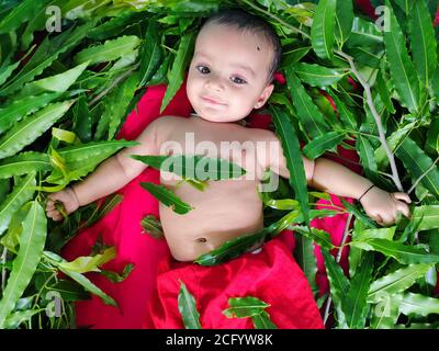 bébé jouant avec des feuilles et montrant son adorable expression faciale gros plan Banque D'Images