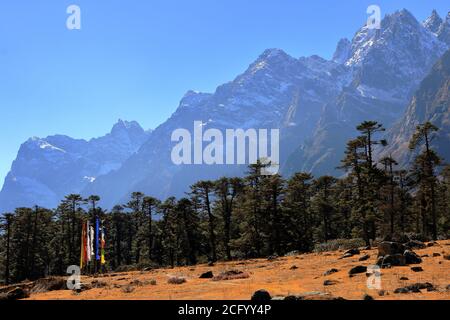 Drapeaux de prière tibétains soufflant avec le vent de haute montagne se situe à l'arrière-plan et le soleil se trouve à l'arrière-plan du vallée de fleurs à Sikkim Inde Banque D'Images